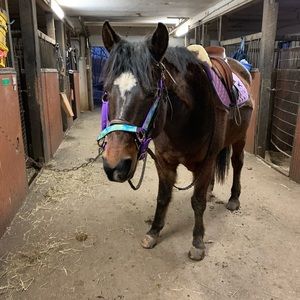 Meet your Posher, Julia